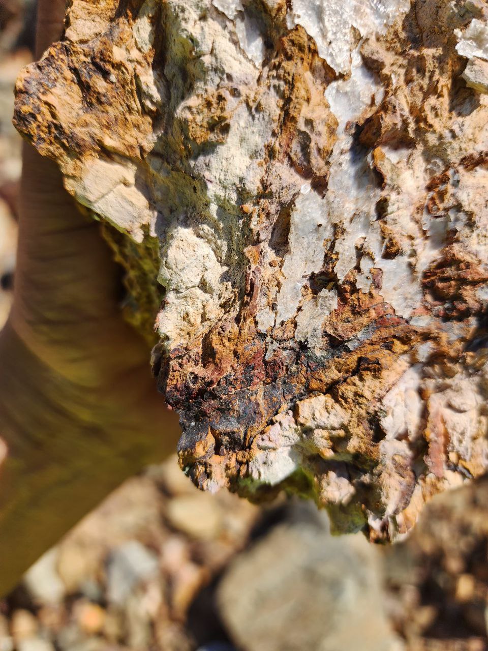 Rock Specimen